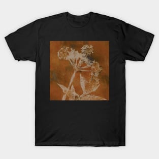 Cow Parsley Autumn Russet Orange Brown T-Shirt